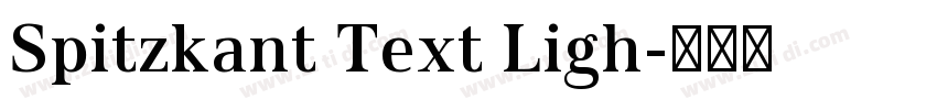 Spitzkant Text Ligh字体转换